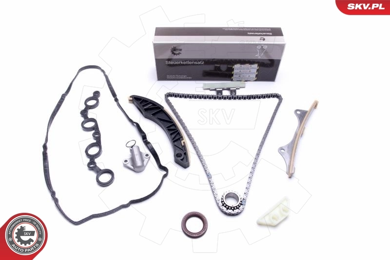 Timing Chain Kit